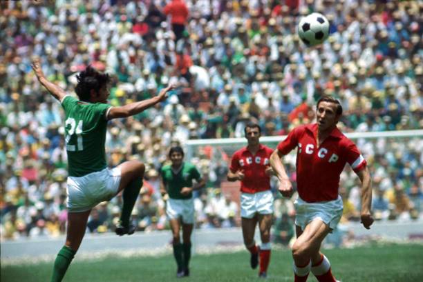 高的要求 高的要求