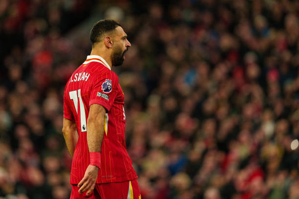 不可預測的 不可預測的