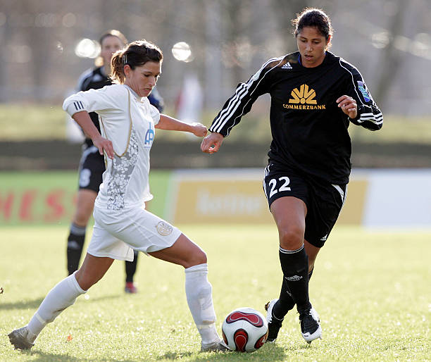 毛球队整体 毛球队整体